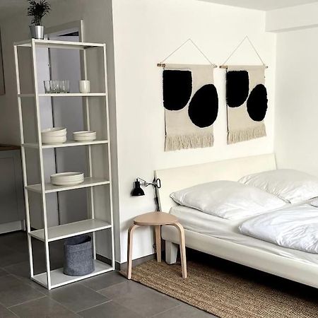1-Zimmer-Apartment Am Bodensee Юберлинген Екстериор снимка