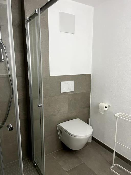 1-Zimmer-Apartment Am Bodensee Юберлинген Екстериор снимка