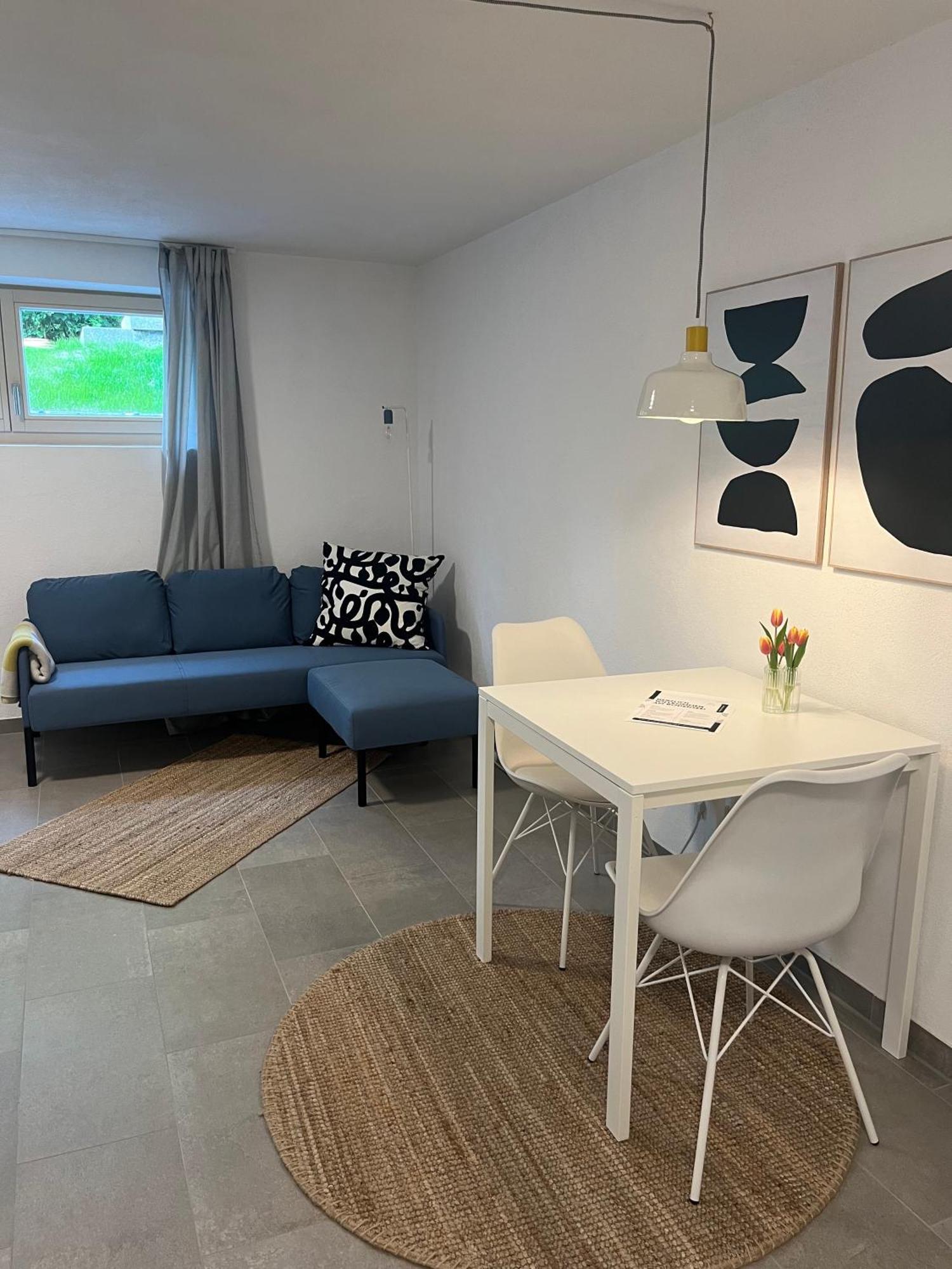 1-Zimmer-Apartment Am Bodensee Юберлинген Екстериор снимка