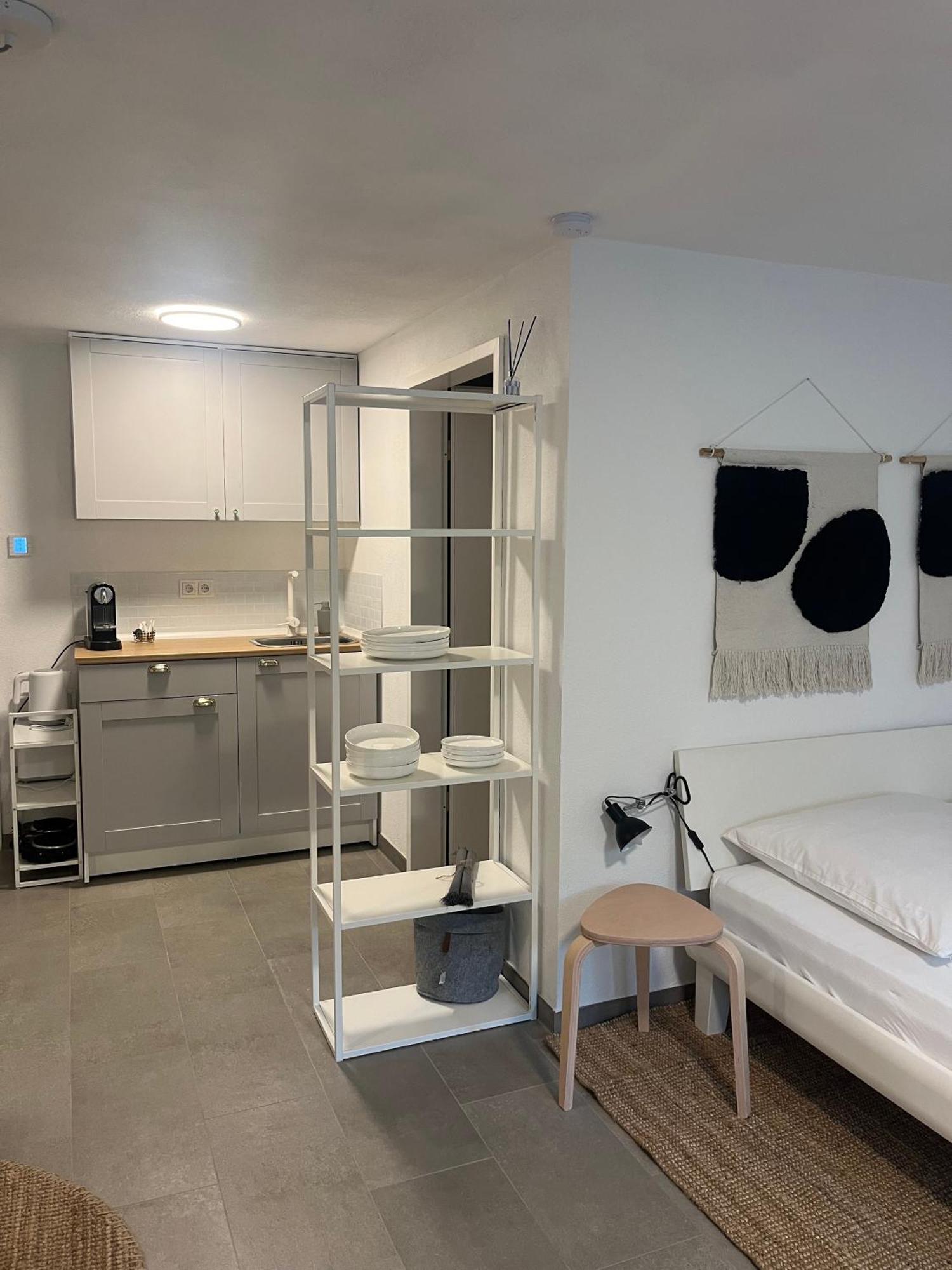 1-Zimmer-Apartment Am Bodensee Юберлинген Екстериор снимка